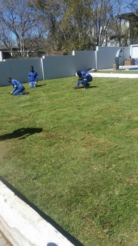 Hydro Gardens team finishing lawn edges