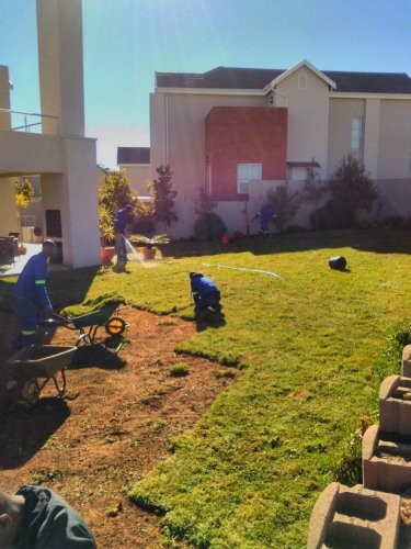 Hydro Gardens team laying instant lawn in a residential garden