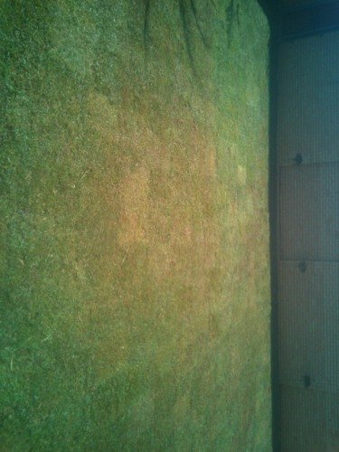 Close up of freshly rolled instant lawn